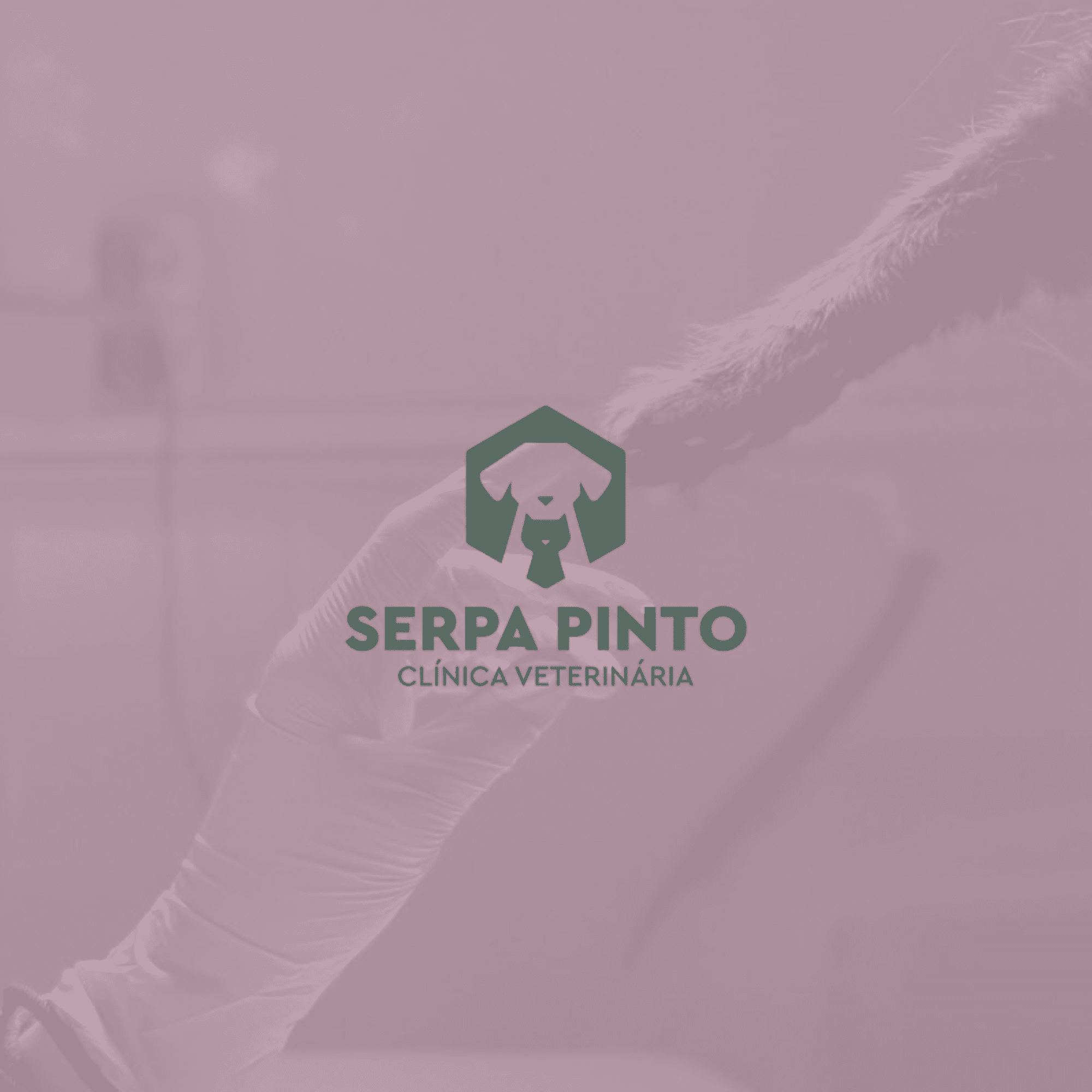 Veterinary Clinic: Serpa Pinto — Premium Website
